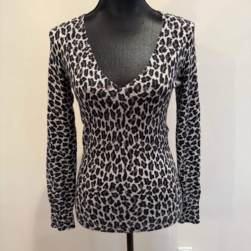Express Design Studio V-Neck Leopard Print Soft Sweater